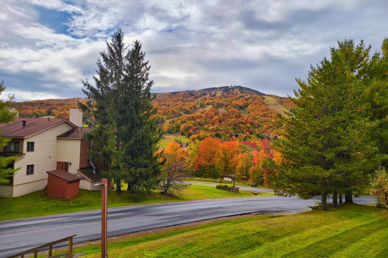Mountain Village 5H Unit B Dover Exterior foto